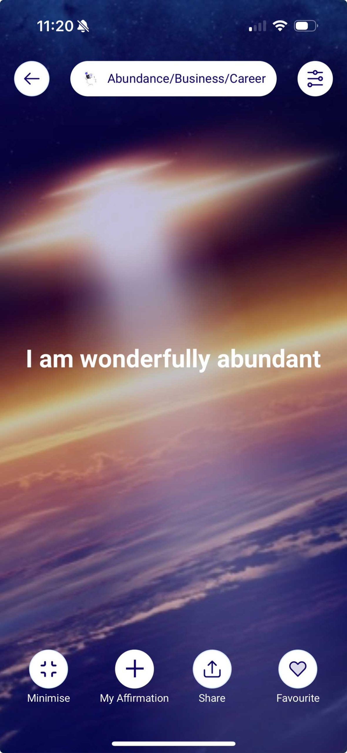 Abundance Business Career